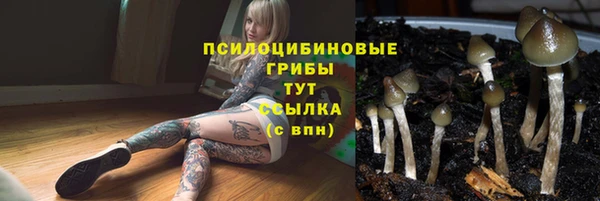 дурь Гусев